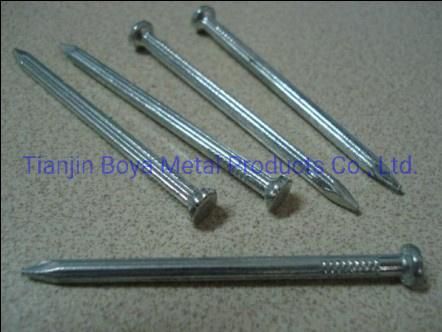 Construction Nails, Steel Concrete Nails, Common Iron Nail for Building Construction