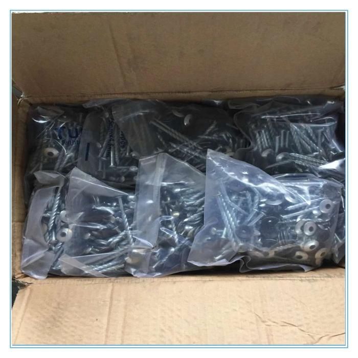 Bwg8-13 Umbrella Head Twist Shank Roofing Nail with High Quality