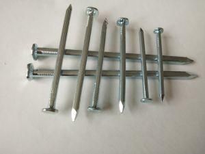 Hot Sale Galvanized Square Shanke Boat Nail