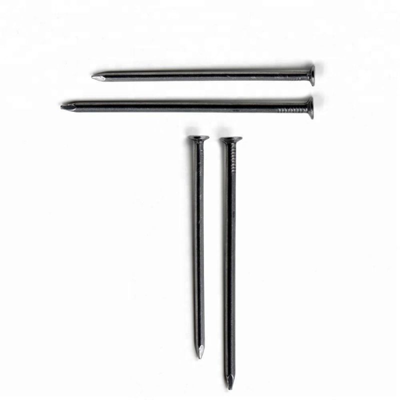 Stainless Steel Common Nail for Construction
