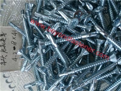 Wing Tip Self-Drill Roofing Screw/Self Drilling Screw