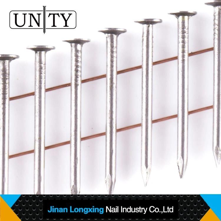 Screw Shank Coil Nails for Pallets