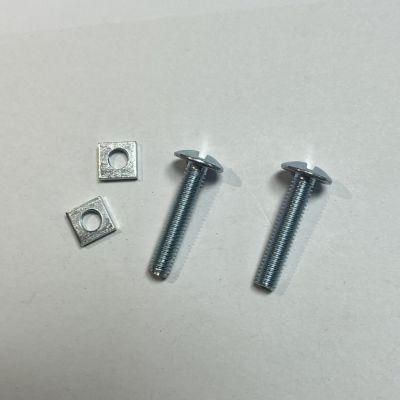 Hardware Roofing Bolts C/W Square Nuts Screw