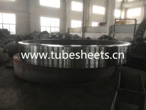 Large Size Customized Steel Flange