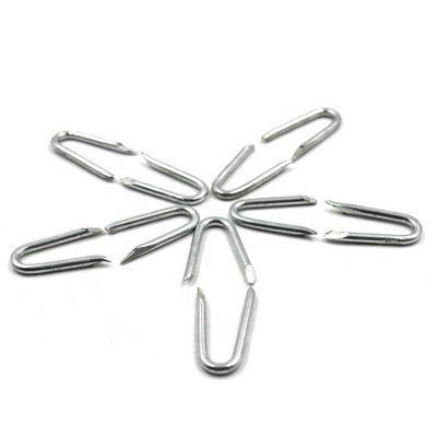 Best Low Cheap Price 1-1/4 Inch Bwg9 Galvanized U Fence Staples