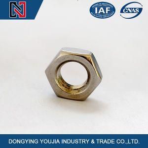 Ansib18.2.2 Stainless Steel Hex Nut