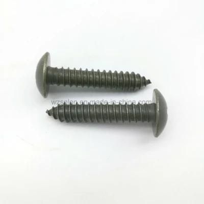 Cross Recessed Mushroom Head Screw with ISO9001