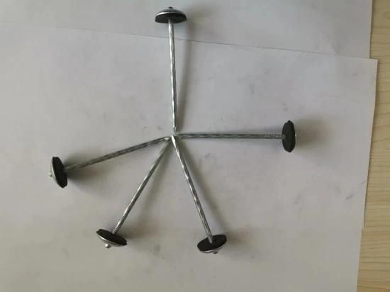 China Hardware Fastener Good Price Umbrella Price Umbrella Roofing Nails Umbrella Head Galvanized 1-3 Inch Corrugated Roofing Nail