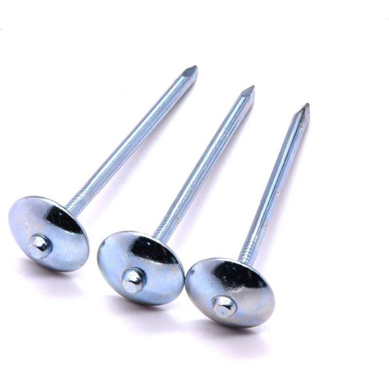 Galvanize Umbrella Head Roofing Nails Corrugated Nails