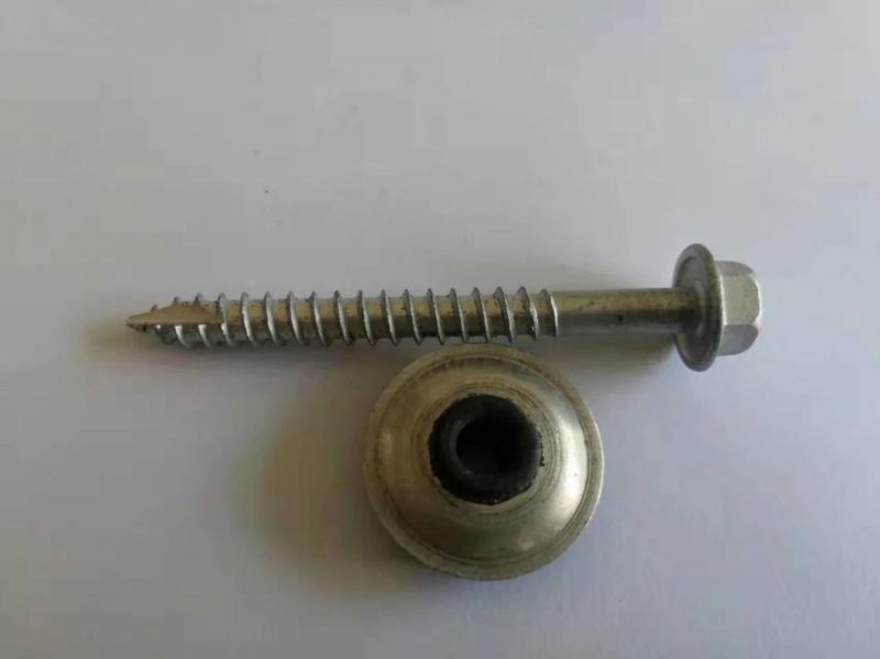 Hex Indent Flange Head Self Tapping Screw Type 17/ Roofing Screw (EPDM Bond Washer Fiji, New Zealand, Australia Market)