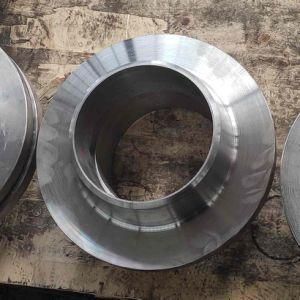 European Standard Pn Flange Stainless Steel Forged Welding Neck Flange