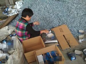 Galvanized Roofing Nail /Galvanized Nail with Umbrella Head 16box Packing