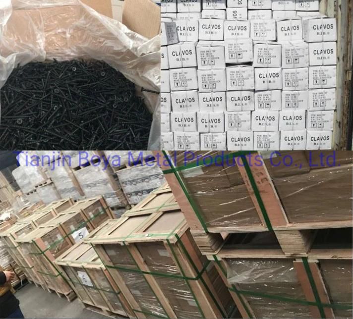 Phillips Bugle Head Fine Thread/Coarse Thread Gypsum Black Phosphated Drywall Screw/Chipboard Screw
