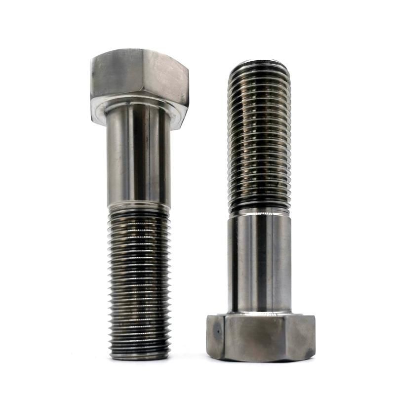 Stainless Steel M25X110 High Strength Hex Bolt with Nut