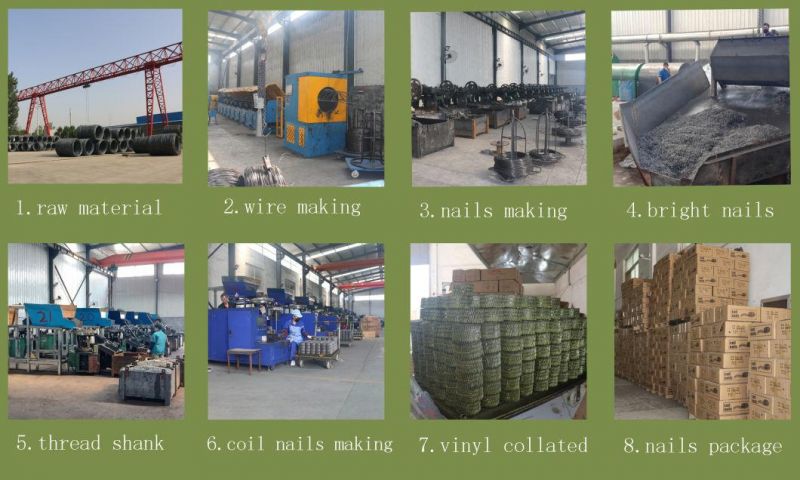 Smooth Screw Ring Shank Coil Nails Wholesale From China