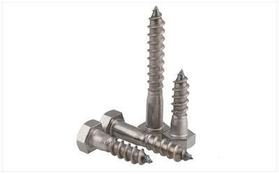 Stainless Steel Self Tapping Screws Building Fasteners