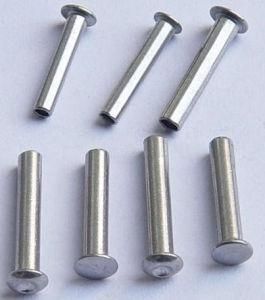 Hollow Stainless Steel Rivet