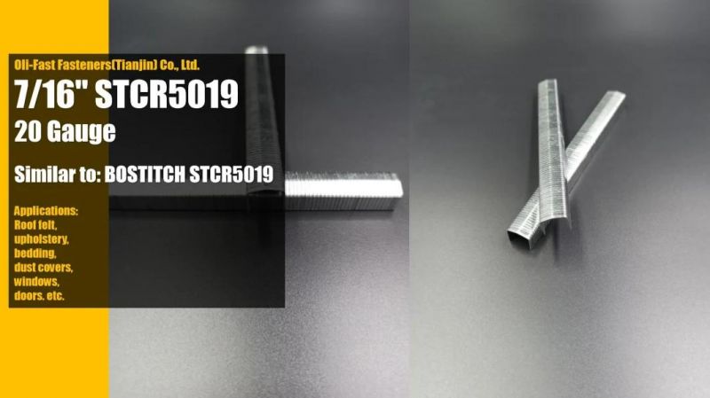 20ga Stcr5019/6mm Staples Factory Supply with Premium Quality
