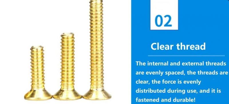 Brass Fasteners Machine Screw/Self Tapping Screw/Brass Hex Bolt and Nut/Hex Nuts/Brass Cap Nut/Flat Washer/Hex Bolt and Nut/Brass Wood Screw/Set Screw