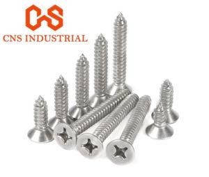 Good Quality and Competitive Price Ss Flat Head Self Tapping Screw