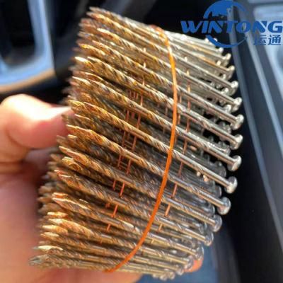 North and South America Thread Ring Grain Rod Tray Nail Cap Galvanized Coil Nail