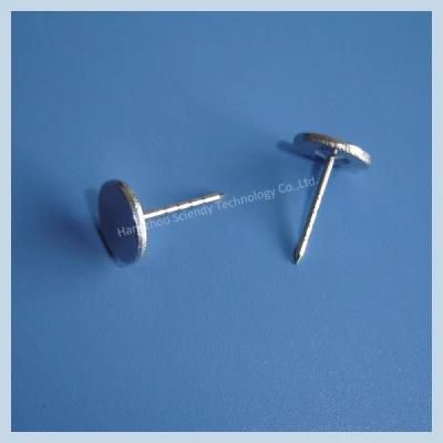 EAS Pin (P01)