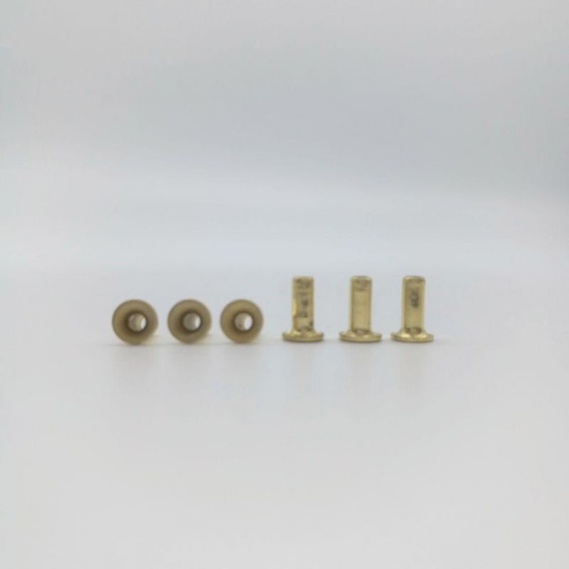 M2X5.5 Plated Brass Hollow Rivet