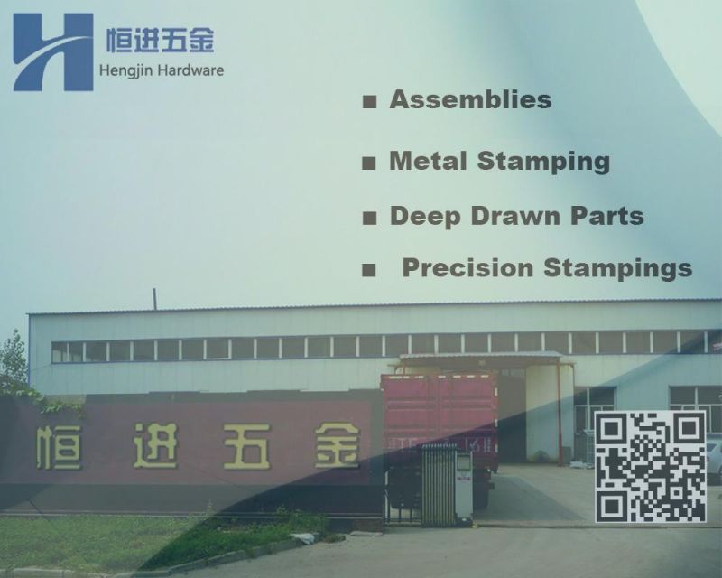 OEM Custom Stainless Steel Self Tapping Screw/Driling Screw/Wood Screw Fastener