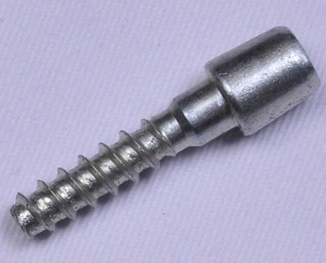 Terminal Cover Screw/Machine Screw Ss Bolts