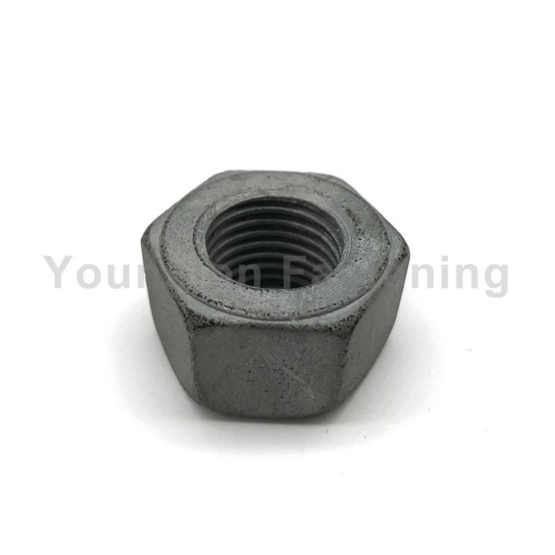 Stainless Steel SS304 and Ss310 Hex Nut