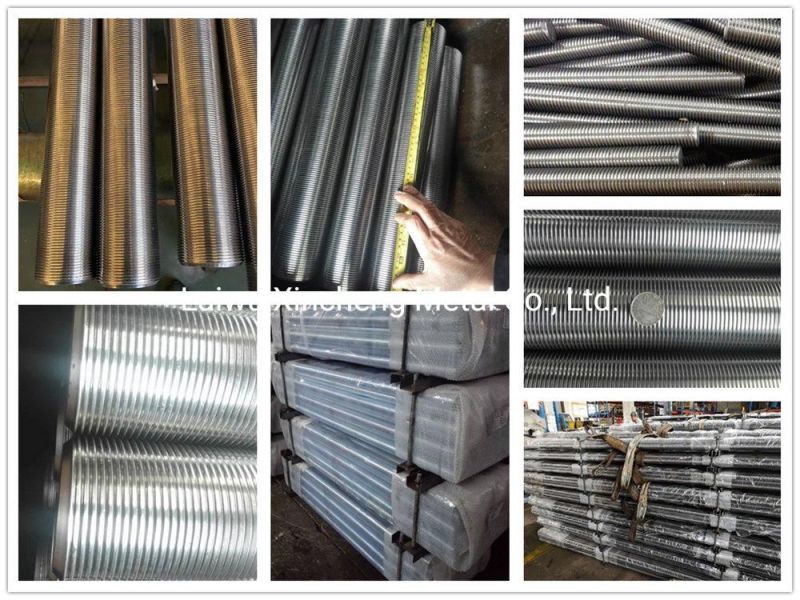 Grade 8.8 4.8 Zinc Plated DIN975 DIN976 Galvanized Threaded Rod Thread Rod