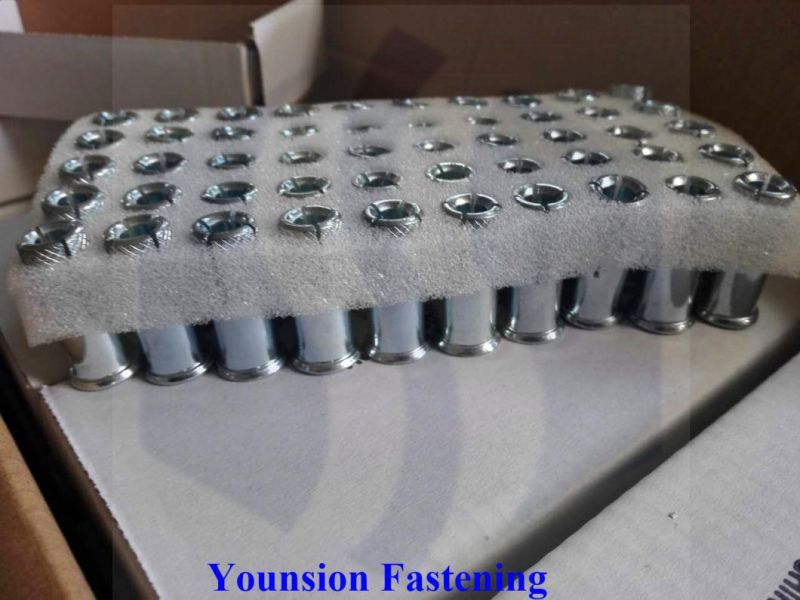 Lipped 3/8*30 M6 M8 M10 M12 Drop-in Anchor with Single Knurling in White Blue Zp