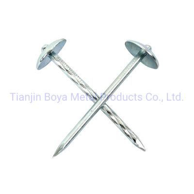 Hot Sale Q195 Carbon Steel Umbrella Head Roofing Nails