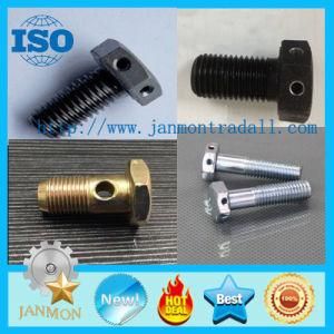 Bolts with Holes, Hex Head Bolt with Hole, Yellow Zinc Bolt with Holes, Hexagonal Head Bolt with Holes