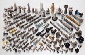 Supply Stainless Steel Hardware Nuts Screw Nuts Screw