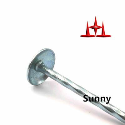 Best Quality Twisted Shank Umbrella Head Umbrella Head Roofing Nail