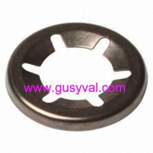 Star Lock Washer