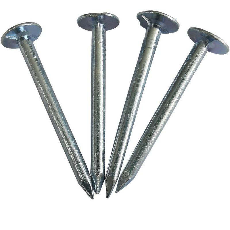 High Quality Hot Dipped Galvanized Clout Nail