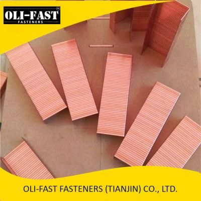 17ga 32 Series Copper Wire Carton Closing Staples, C78 Staples