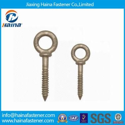 Us Type Drop Forged Galvanized Eye Bolt G-275