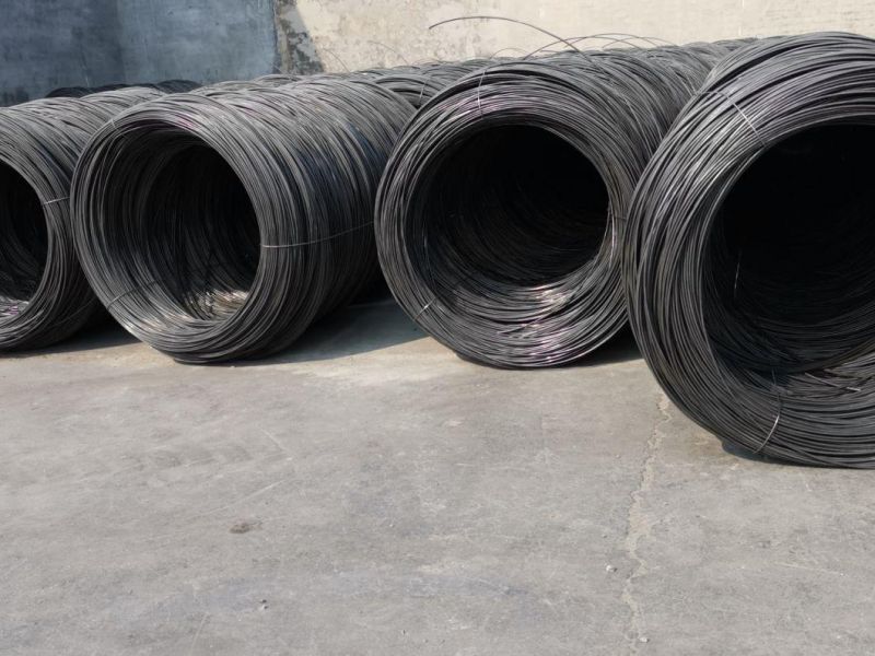 Factory Supply Electro Galvanized Square Boat Nail for Building