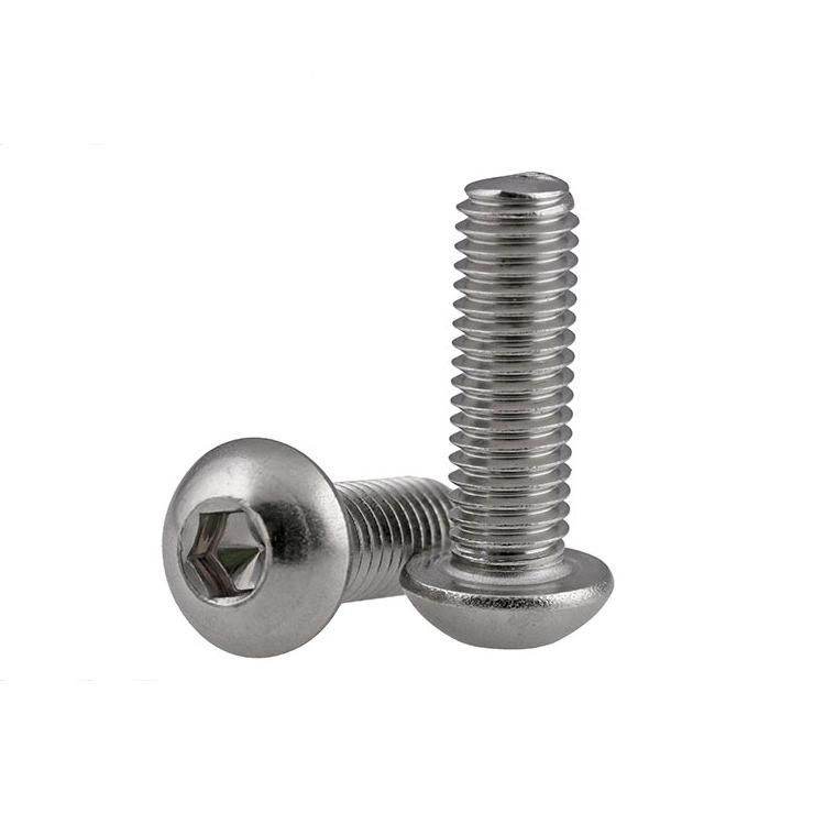 Hex Socket Screw with Pan Head (304, 316)