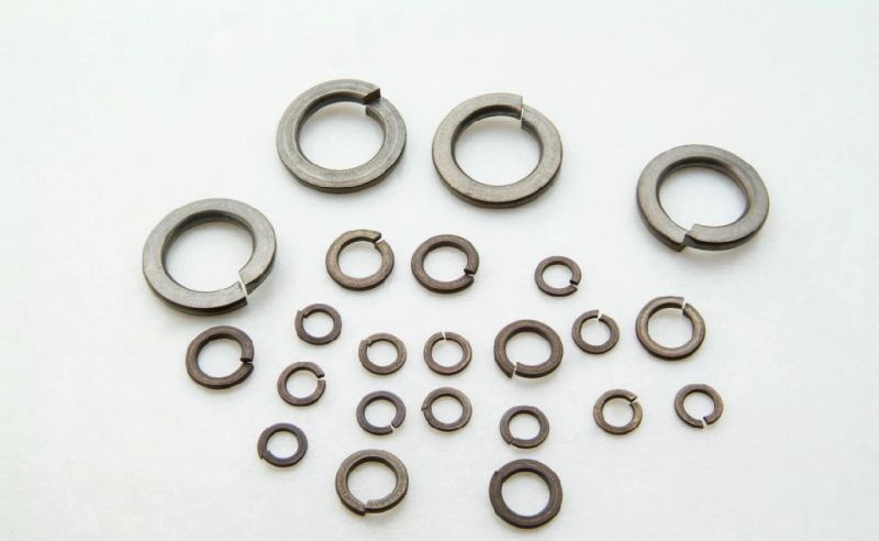 DIN127 M6 Spring Lock Washers in Stainless Steel and Titanium