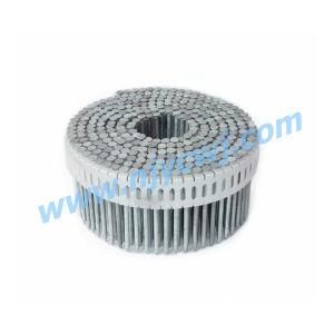 Zinc Plastic Coil Nails for Max and Duofast 2.5X50 Ring HDG 15 Degree
