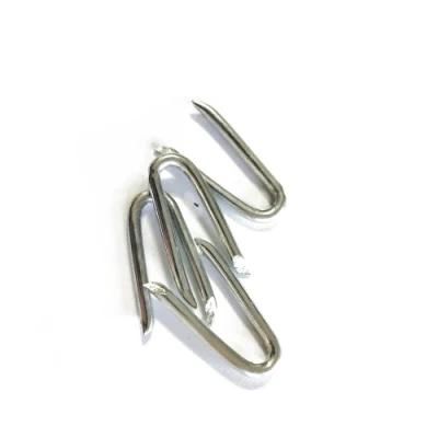 Electro Galvanized U Type Nails