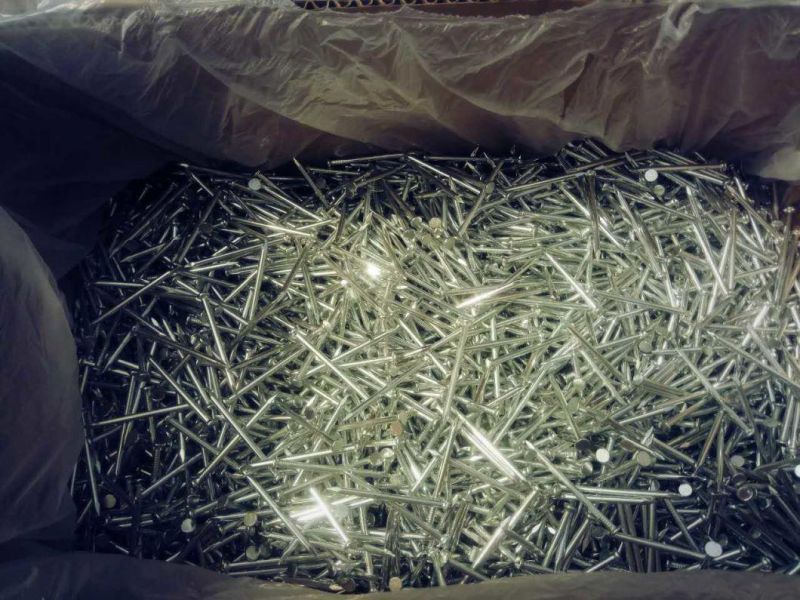 High Quality Concrete Nails Made in China