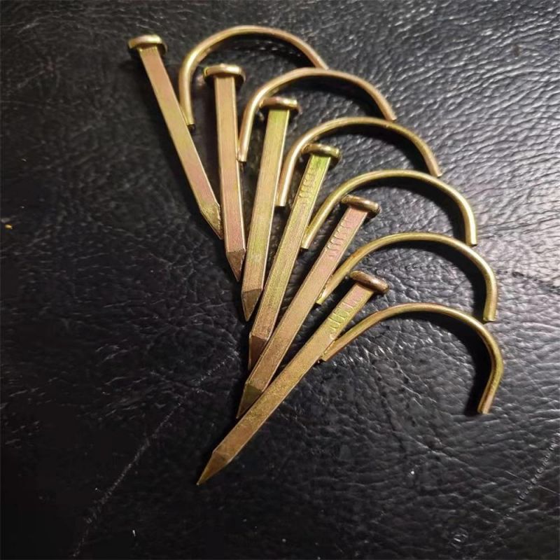 Quality 6 Points Plus Hard Lgalvanized Hook Nails