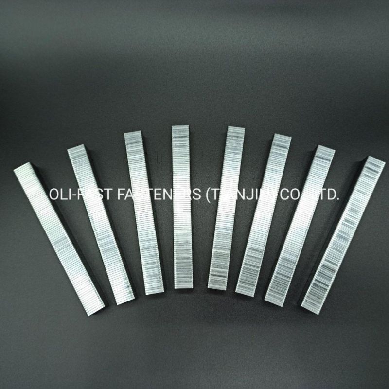 20ga 50 Series Industrial Staples China Factory Supply