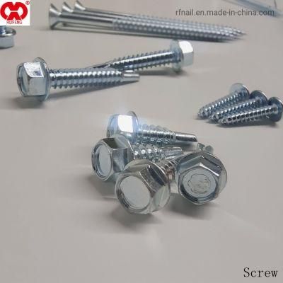 Good Quality Nails in China Factory Supplier Competitive Price Steel Galvanized Specifications Zinc Plated Wood Small Screw.