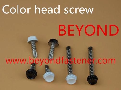 Manufacturer Steel Customized Production Machine Screws/Self-Tapping Screws/Self-Drilling Screws/Wood Screws/Core Board Screw/Roofing Screw